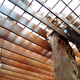 Image for article titled 8 Buildings Designed to Incorporate the Trees Around Them